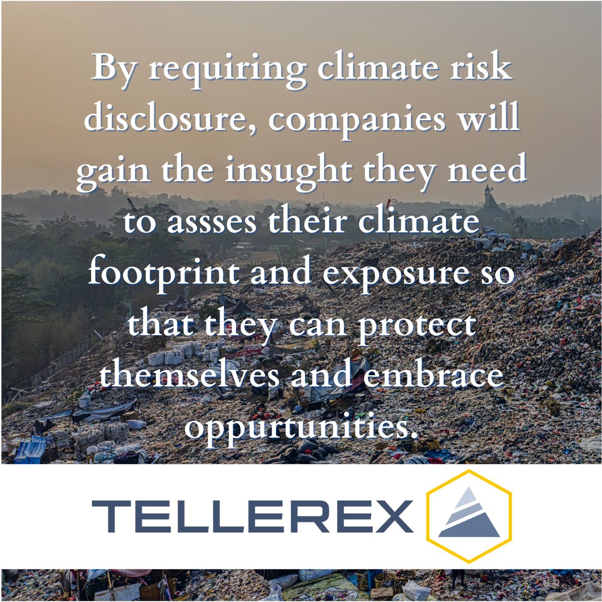 Tellerex tweet media