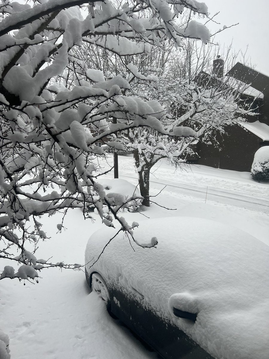 Snow Day! #Connecticut #snowday