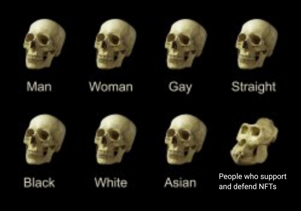 TheSharkAnt01's tweet image. I really enjoy this meme format so much.