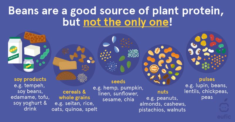 EUFIC's tweet photo. If beans and chickpeas are the only plant-based proteins you know, you're missing out❗️

Take a look at our new article to discover a whole wide world of other #plantbased proteins to add to your tasty recipes and help you meet your protein needs 😋😍