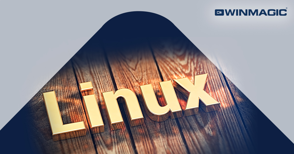 WinMagic's tweet image. When it comes to its servers, Linux has had built-in encryption for several years now. Yet, enterprises still struggle with encryption on Linux servers.

See how SecureDoc can benefit your Linux operating systems: winmagic.com/encryption-sol…

#SwitchToWinMagic #WinMagicSolutions