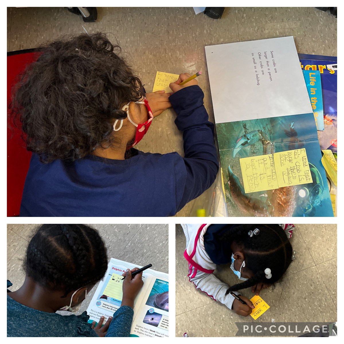 cbatts125's tweet photo. What a great week in 1st Grade! We read, learned, noticed, wondered, and jotted about nonfiction books! We created &amp; replicated shape designs with partners &amp; we began learning how to code with Rosie’s Runtime! Have a fun snow day ☃️❄️ &amp; weekend! @ViolaAchieves @PreissStacey https://t.co/CN9bHcnmOc