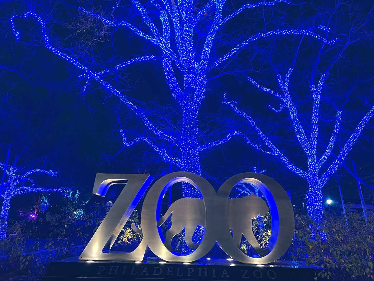 CindyWeb94's tweet photo. Extending the holiday cheer @phillyzoo #LumiNature. This is the last weekend for it so go check it out. It’s really cool! 🎄❄️🐆🦘🦌🐑 https://t.co/5YPmpMfcLo