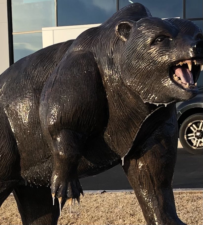 TheToddPeterman's tweet photo. The Bear may have icicles on his claws this morning, but it’s still proudly guarding the Den. #bearstrong #nhs https://t.co/R7fTTyE3zq