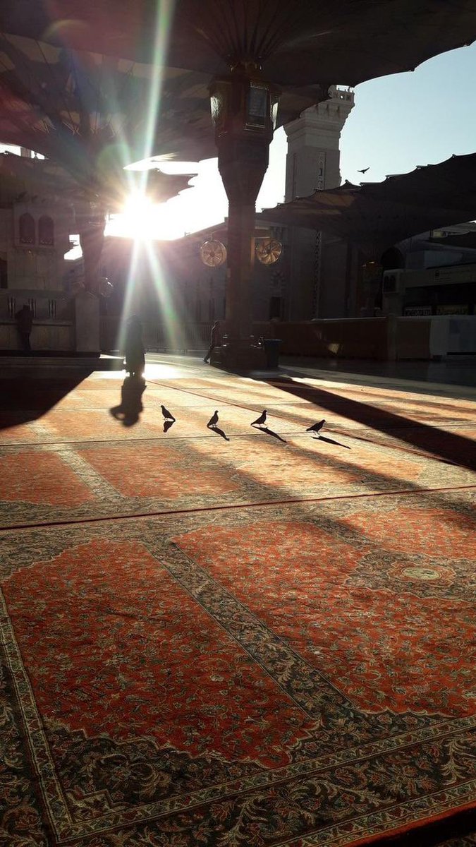 اللهم صل وسلم علي نبينا محمد #يوم_الجمعة #المدينة_المنورة