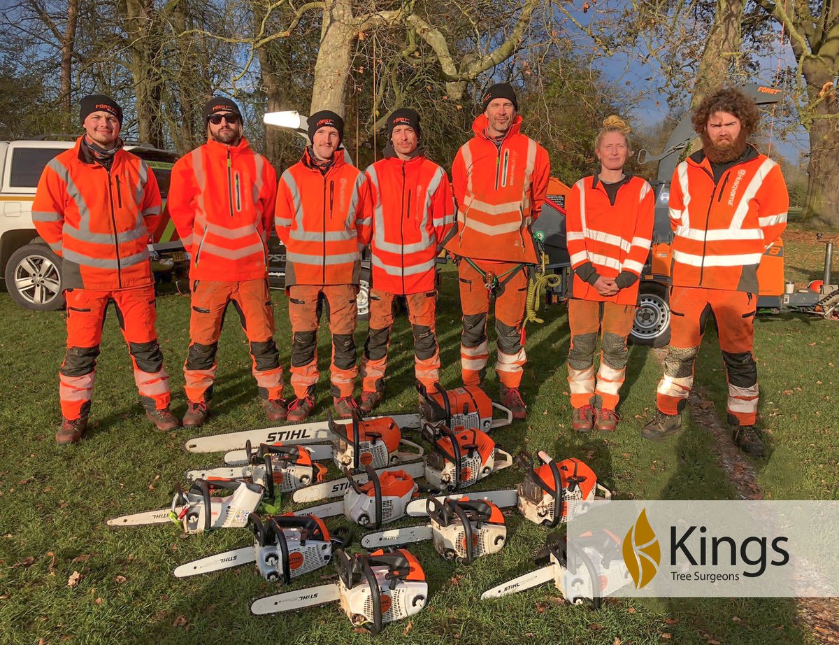 Kings Landscapes tweet media
