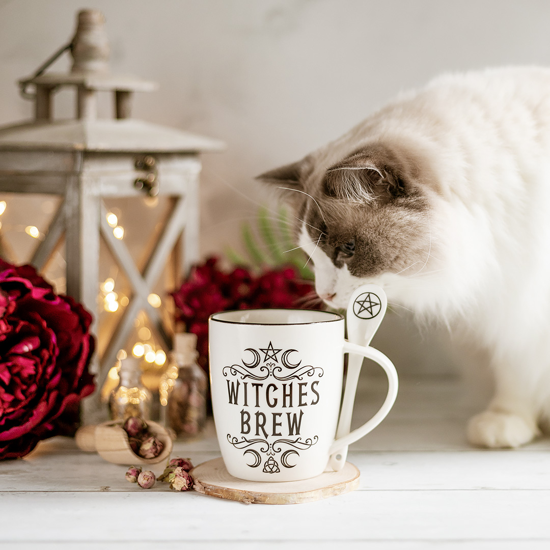 empitalia's tweet photo. Care Streghe e Maghi, questo set da tea Γ¨ per voi! π§ββοΈβ¨
Γ composto da tazza (super capiente) e cucchiaino!
Anche il mio Hagrid-il gatto, approva! π±π€
Potete acquistarlo qui β‘ https://t.co/Y6OlRJXPpf
#alchemyengland #tea #teatime #tealover #witches #witch #cat #EMPitalia https://t.co/JRW9Dca3Mh