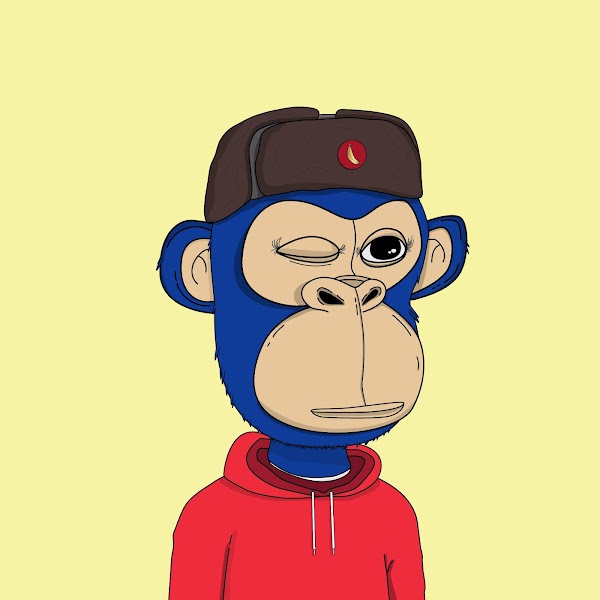 Fernando tweet media