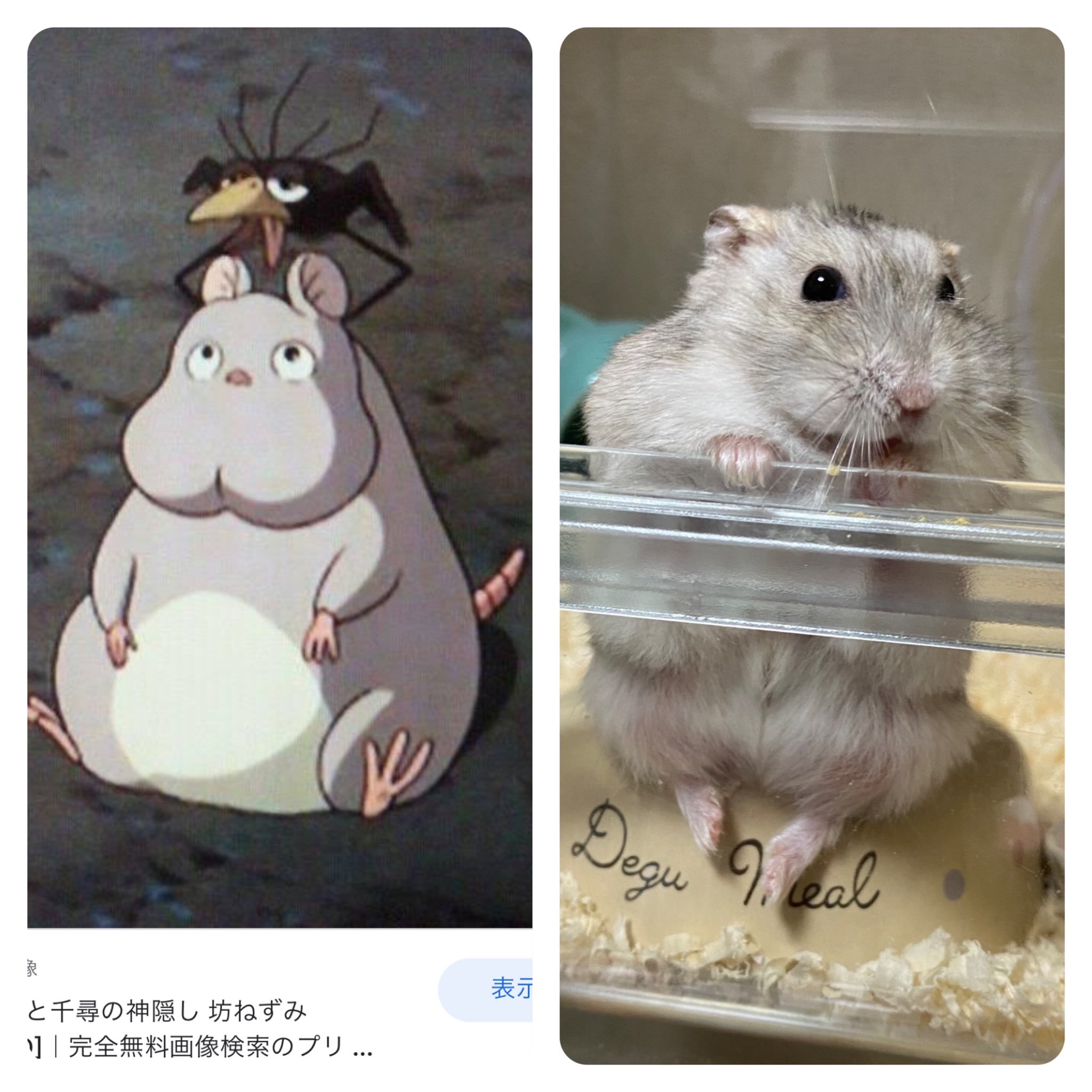 コバ on X: 