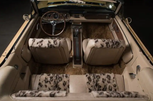 LehightonF's tweet photo. Throwback Thursday! The Sonny &amp; Cher matching Mustangs! https://t.co/9kSr4XzNqL