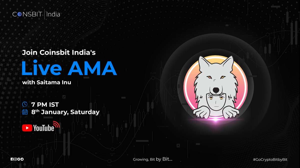 where to buy saitama inu in india