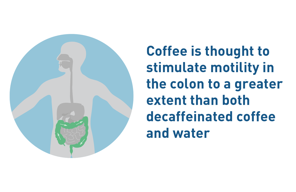 Drinking #coffee is found to stimulate colon motility to a greater extent than water ☕ 

Read our expert report on #digestion and #guthealth to learn more: bit.ly/3HKrG5q

#coffeefacts