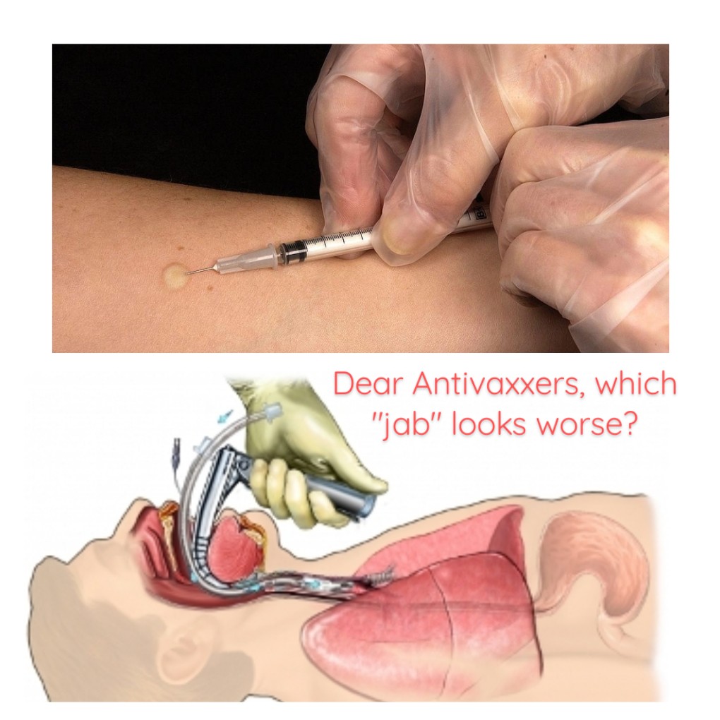 wizardringwall's tweet image. 