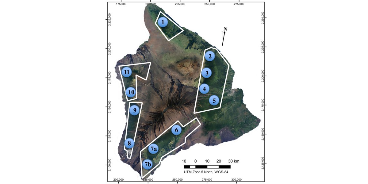 Now online in @ESAApplications:

Early detection of a tree pathogen using airborne remote sensing

doi.org/10.1002/eap.25…

With #OpenData in @figshare 

#RapidOhiaDeath #CanopyChemistry #GlobalAirborneObservatory

@ASU_GDCS @ASU_SGSUP @ASU