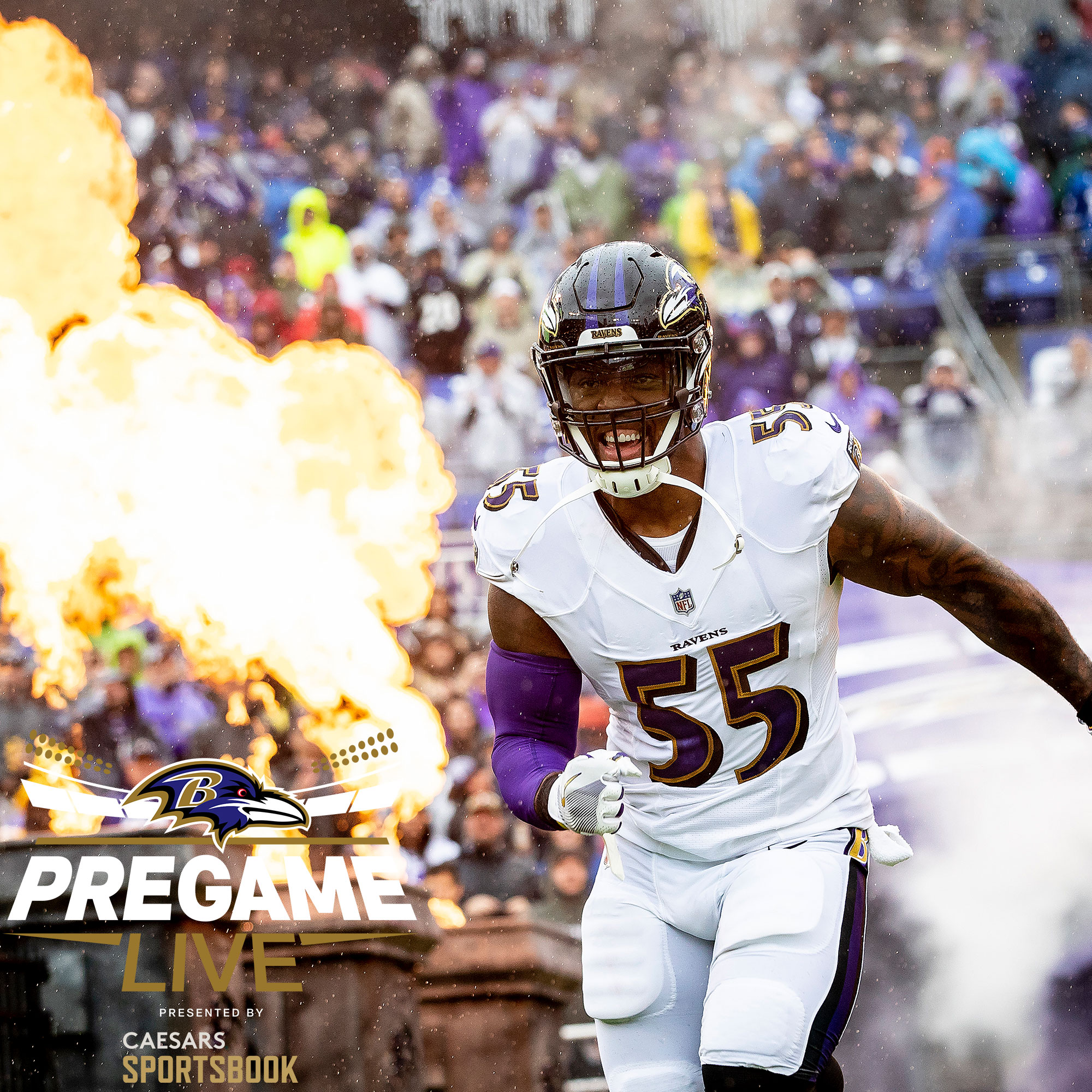 Baltimore Ravens on X: Don't miss our Legend of the Game, Terrell Suggs, on  Ravens Pregame Live today! We go live at 12 p.m. on the Ravens app,  website,   channel and