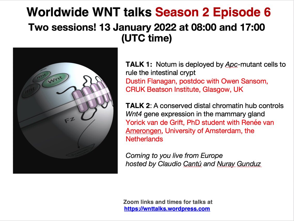 WntTalks : https://wnttalks.wordpress.com/ (@talkswnt) on Twitter photo Mark your calendars and clear your schedule for S02E06 of WorldWideWnt <a href="/TalksWnt/">WntTalks : https://wnttalks.wordpress.com/</a>: Mark your calendars and clear your schedule for S02E06 of WorldWideWnt <a href="/TalksWnt/">WntTalks : https://wnttalks.wordpress.com/</a>: