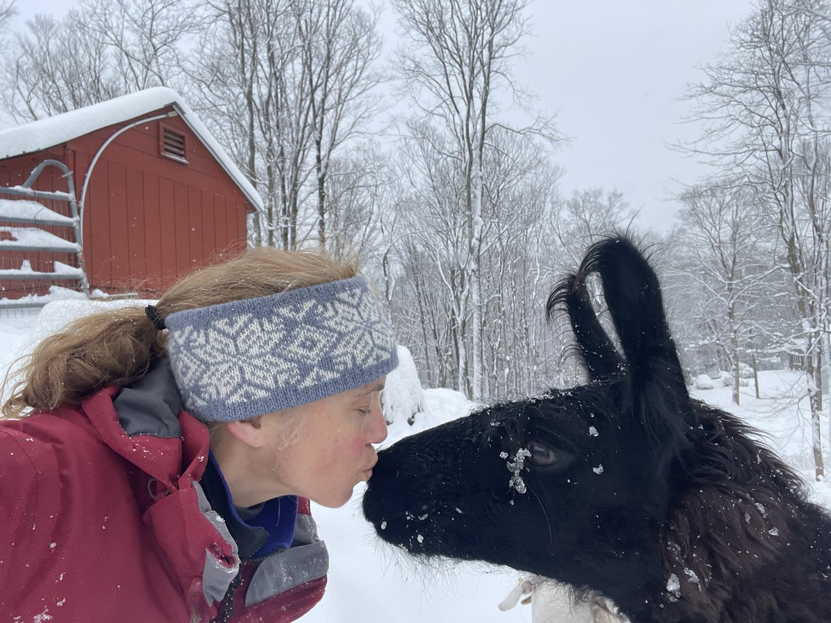 DeniseHebner's tweet photo. Winter Wonderland in Easton wearing Snow Seeker (made using Rauma Finul) while grabbing a smooch from my Llama love Rosita. #WINTER #Freezing #llama #nature #WinterWonderland #knitting #knittingtwitter #yarn #maker #handmade #FarmLife #YOLO https://t.co/vL75R55xLB