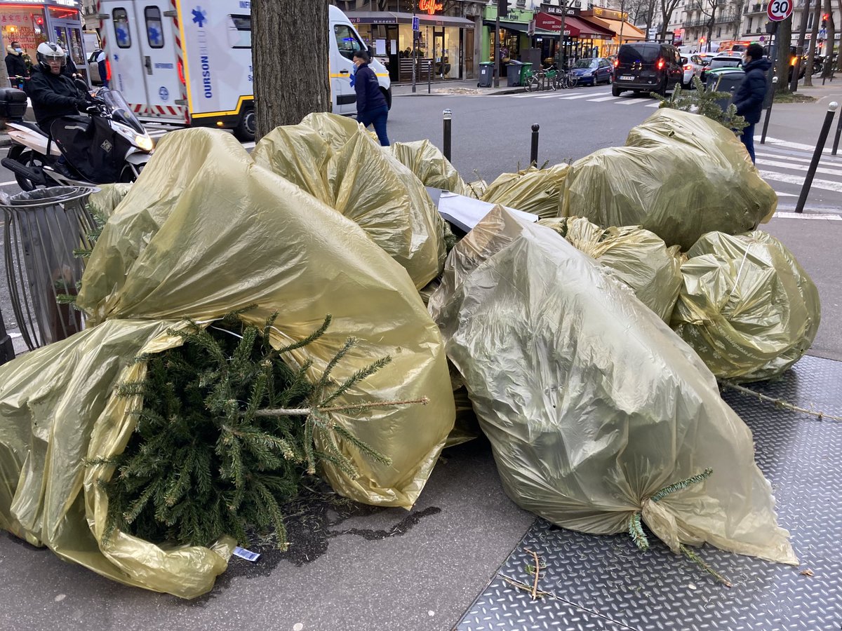 Stéphane Mandard on X: « Oui, être Français, c'est avoir un sapin de Noël  »… et le jeter dans la rue comme un vulgaire sac poubelle   / X