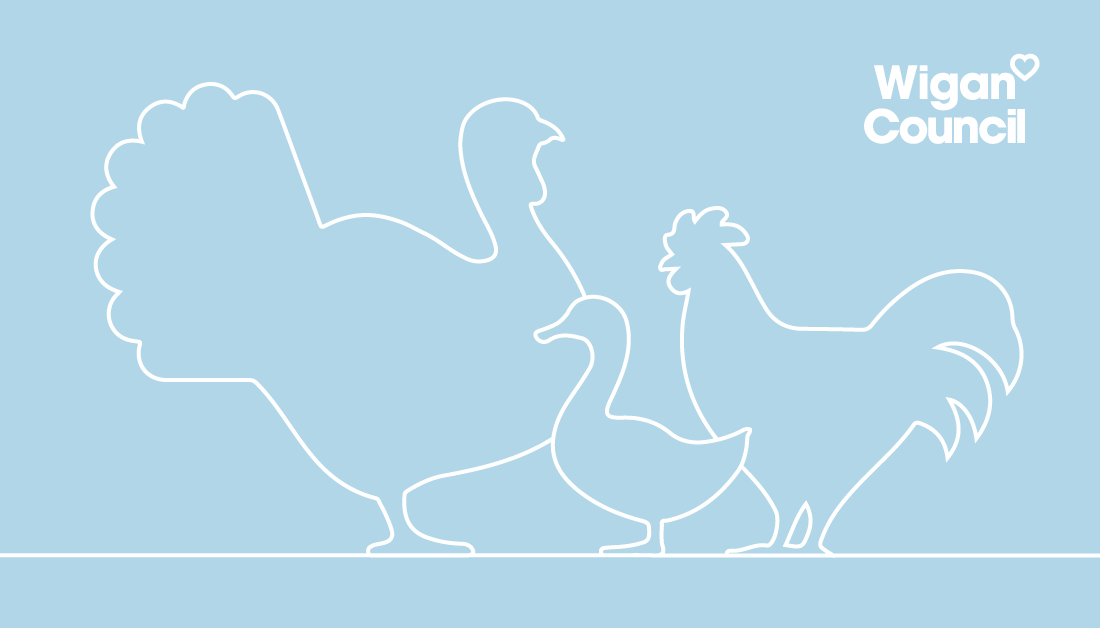 There is a current outbreak of avian influenza (bird flu)

If you find a dead or visibly sick bird please do not touch it and report any sightings to us straight away by calling 01942 489006.

Please share clear location instructions.

Find out more 👉  gov.uk/guidance/avian…