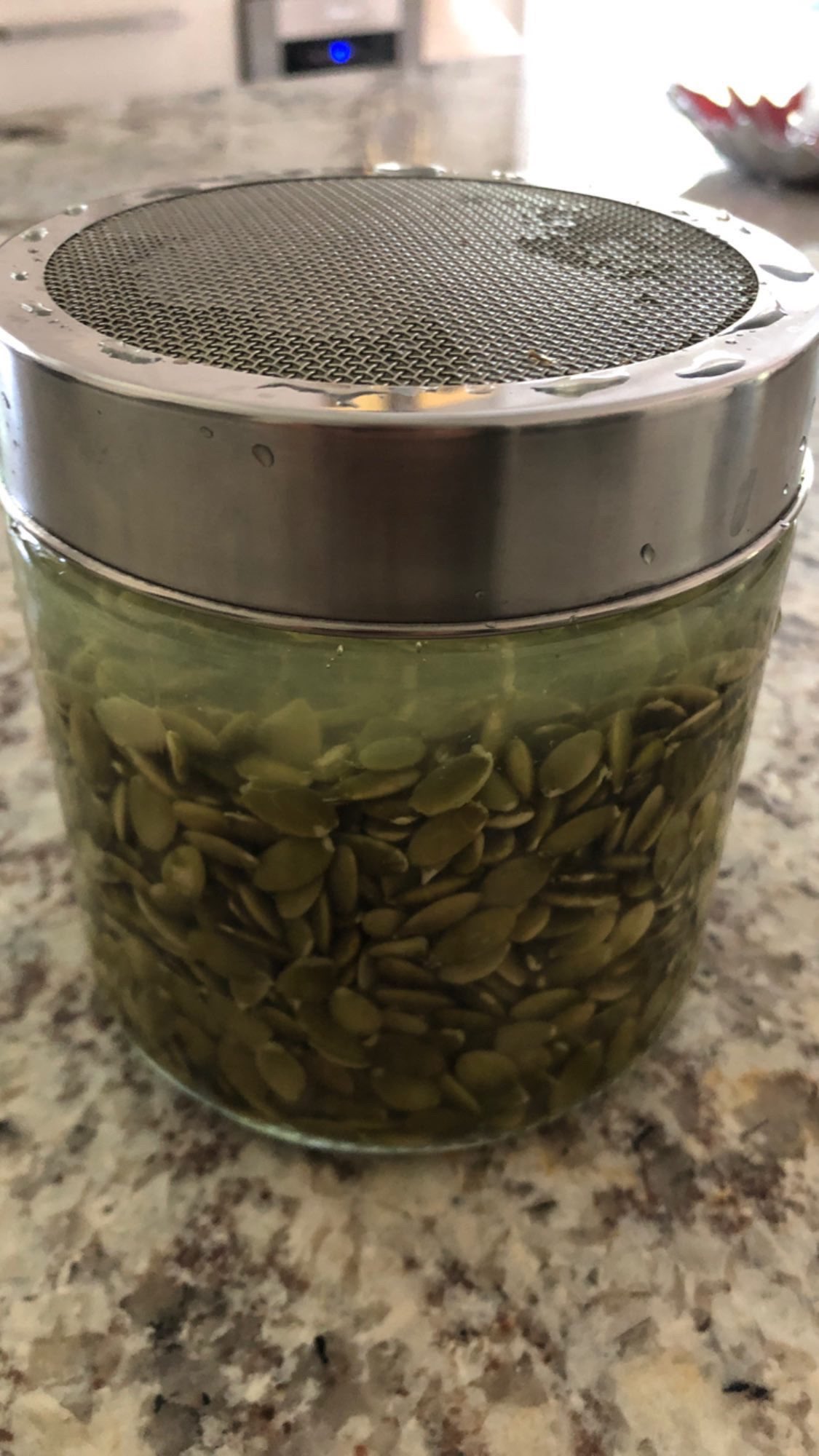 SPARTAN⚡️🧬 on Twitter "Soaked pumpkin seeds for 1824 hours, (aids in