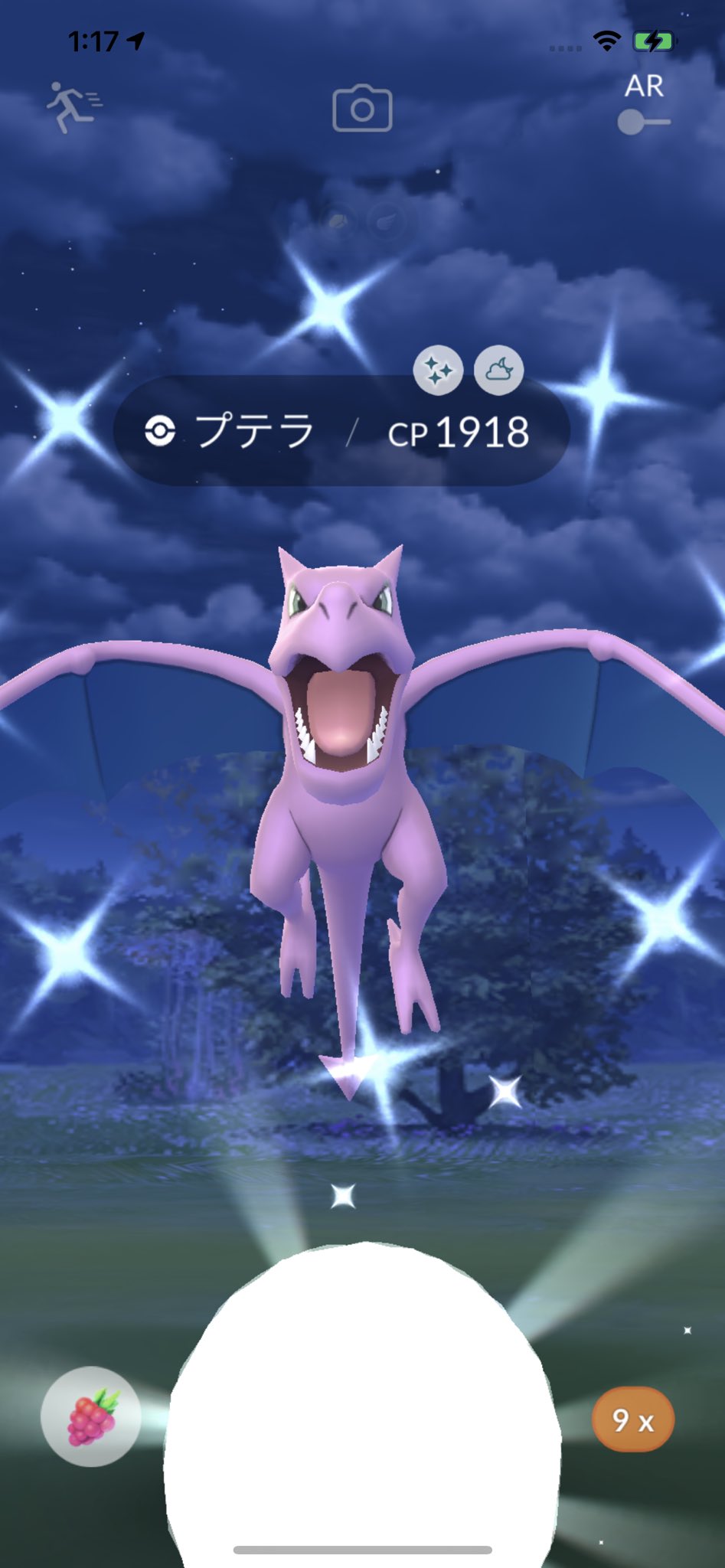 458spidermatakun プテラ タスクとレイドで 2連続色違いあざます ポケモンgo プテラ 色違い T Co Azmgwjclqq Twitter