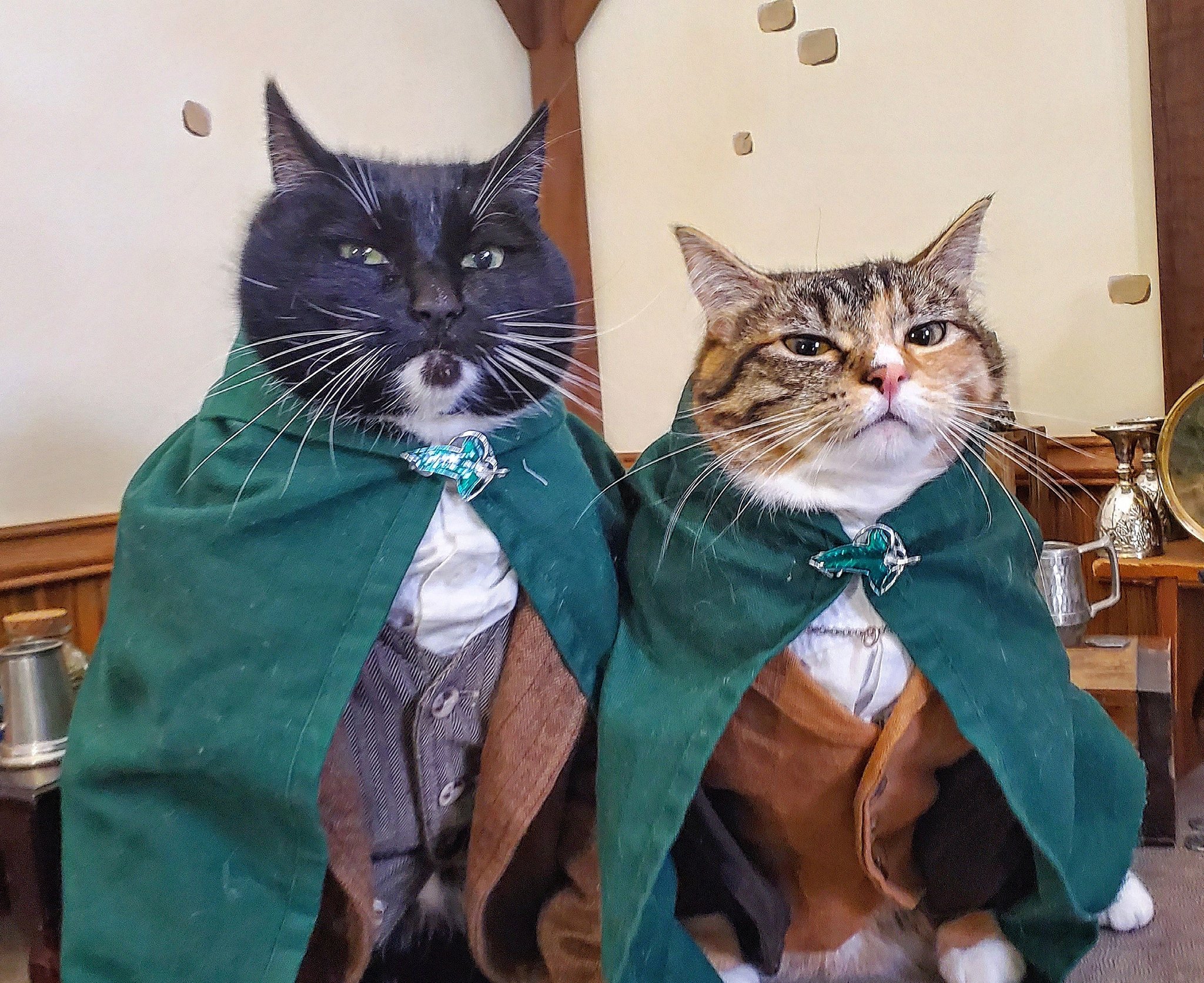 Lord of the cheap rings cat collar