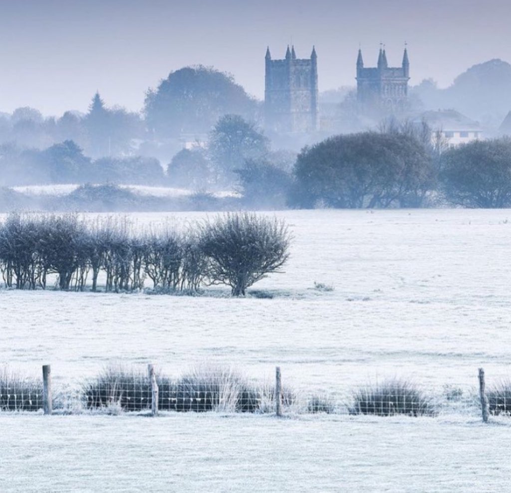 𝐌𝐚𝐭𝐭 𝐏𝐢𝐧𝐧𝐞𝐫 tweet media