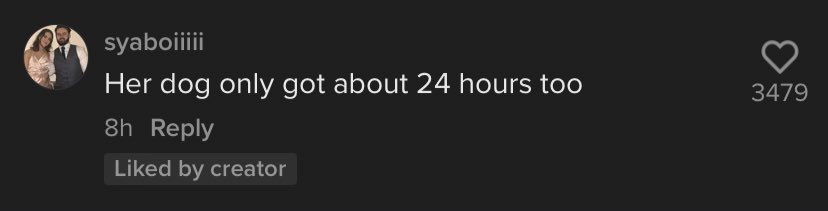 emlymlner's tweet photo. Noooo just saw a tiktok about molly mae and her 24 hours and someone commented this https://t.co/dIEyd3RfnX