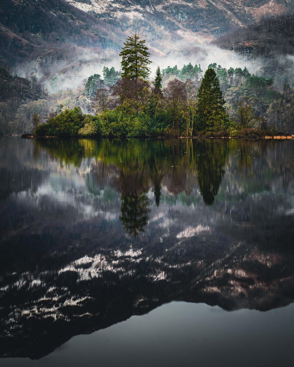 gorgeous_pix's tweet photo. "Recent dawn trip to the Trossachs in Scotland Love me some foggy trees! IG is @inutopia if youd like to see some more, thanks!. From u/Inutopian on /r/earthporn #recentdawntrip #youdlike #scotlandlove #foggytrees #trossachs #thanks #see #inutopia #ig #earthporn" https://t.co/7d1PgVhaZx
