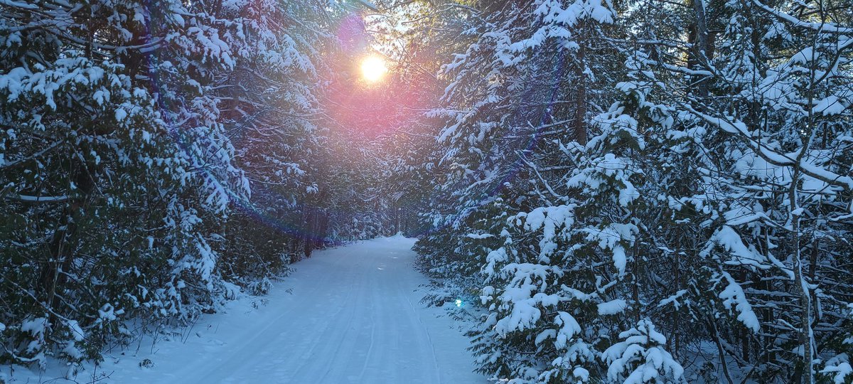 Rod Meloni tweet media