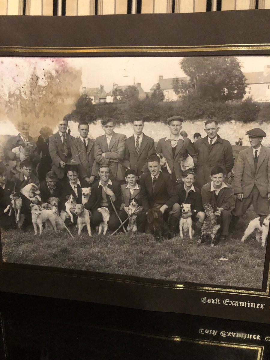 urlofcork's tweet image. The Lough Terrier club Id guess early 1940s .These lads didn’t hunt to kill they hunted to put rabbits on the table of families in #Togher and the Lough during the War when many were hungry @Fiona_Forde_Irl