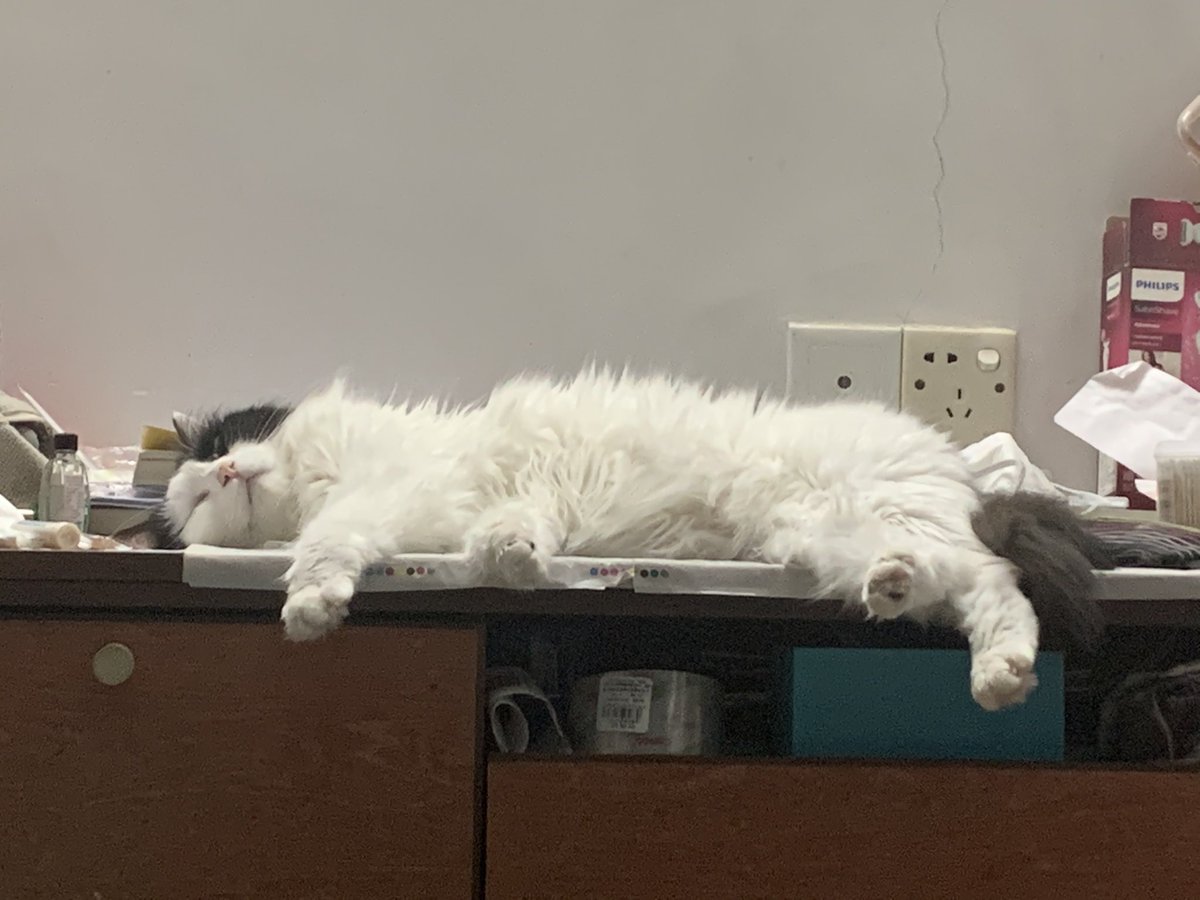 Amumu (@amumu_fuuko) on Twitter photo 