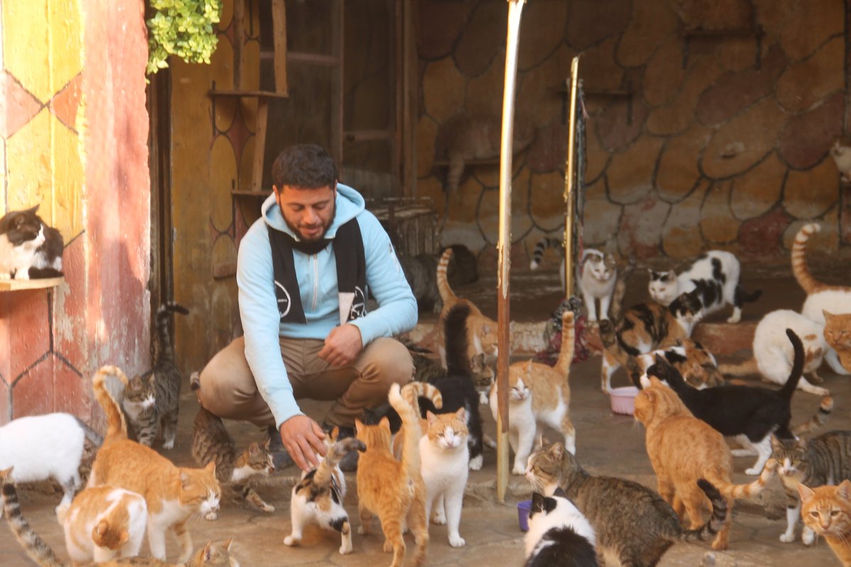 Please donate if possible, without you nothing can be done.  It can not fill the stomachs of these animals and can not be treated.  Your donation is everything.  thank you❤🙏
Paypal Donation Link👇❤
paypal.com/cgi-bin/webscr…
or a donation site gofundme👇❤
gofund.me/68ac09ec