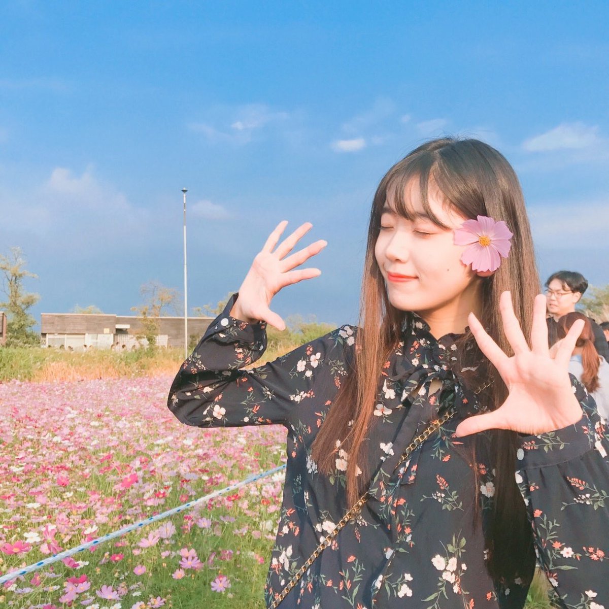 raredreamnote's tweet image. 