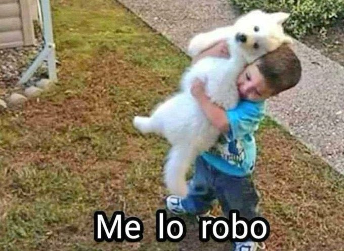 Cuando un perrito callejero comienza a seguirme.