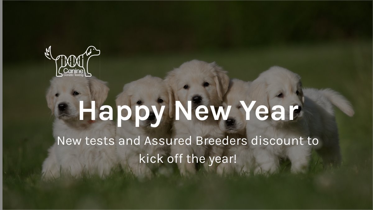 Canine Genetic Testing tweet media