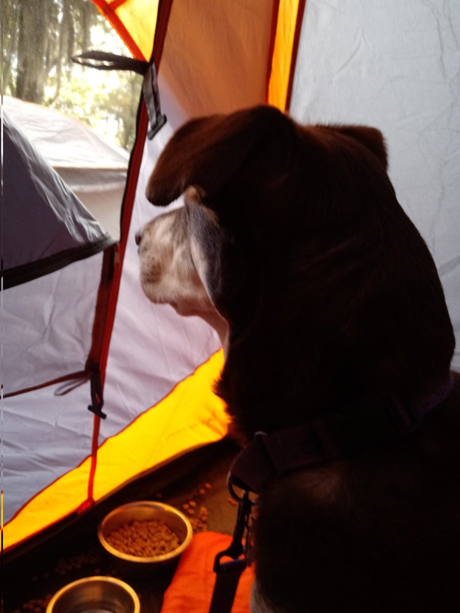 Robin Featherstone Arrow Heileman (ArrowHeileman) Twitter