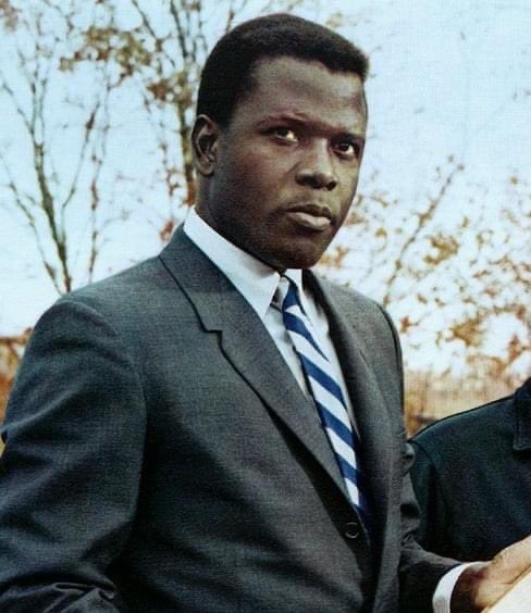 BrickedPit's tweet photo. Dammit. #SydneyPoitier #patchofblue https://t.co/JwFceASqIu