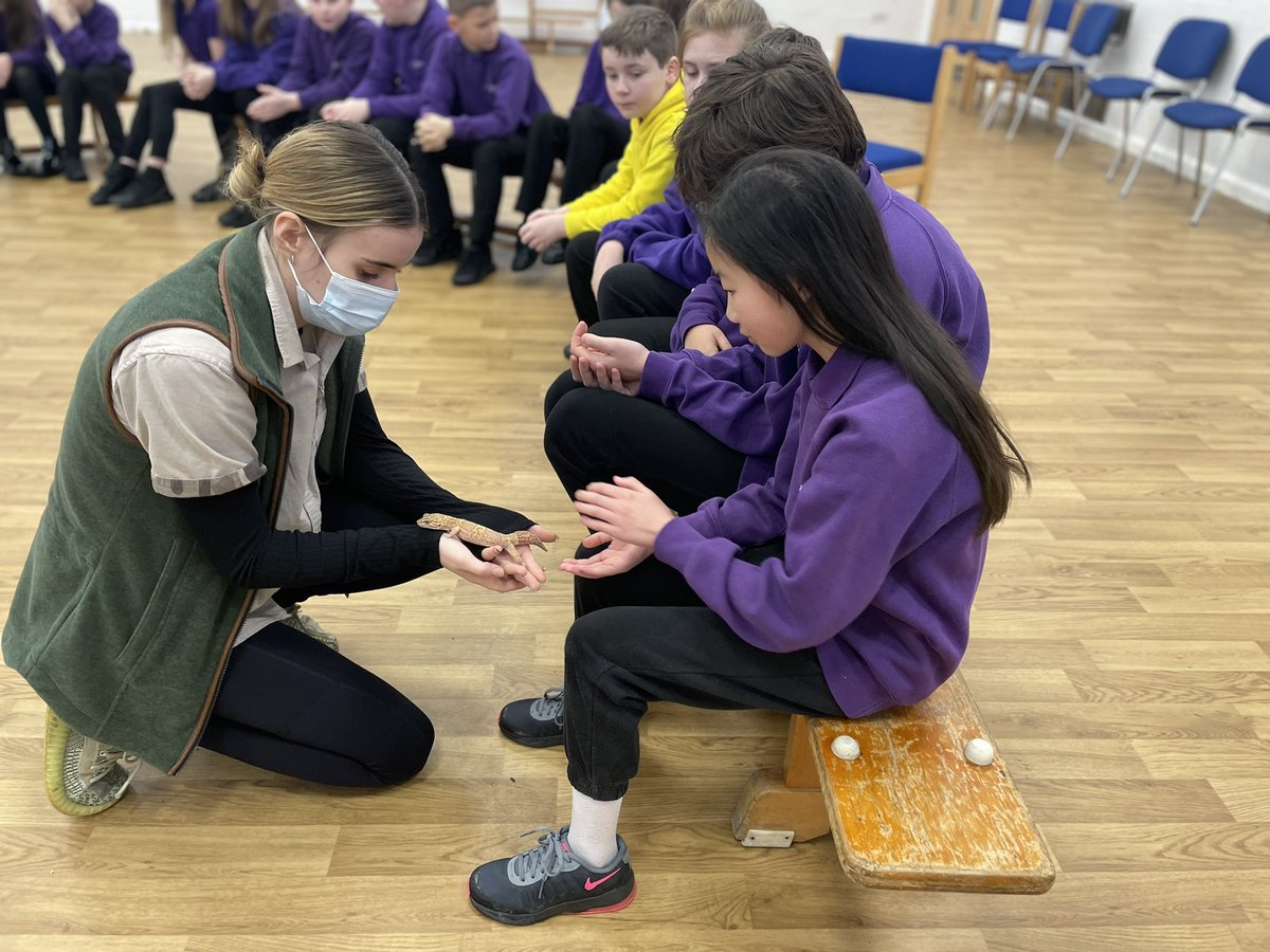 FieldheadCarrPS tweet media