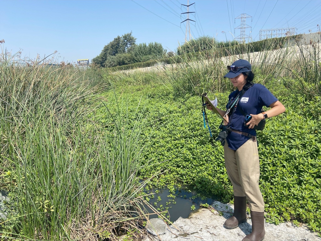HealTheBay's tweet photo. Our Stream Team is the dream team💪. For the first time ever, we were able to expand to the Lower LA River last year thanks to students from @CSULB and @LBCityCollege. Hear about the experience in their own words.

https://t.co/xW2dWcUJFg https://t.co/hcawt5wKx5