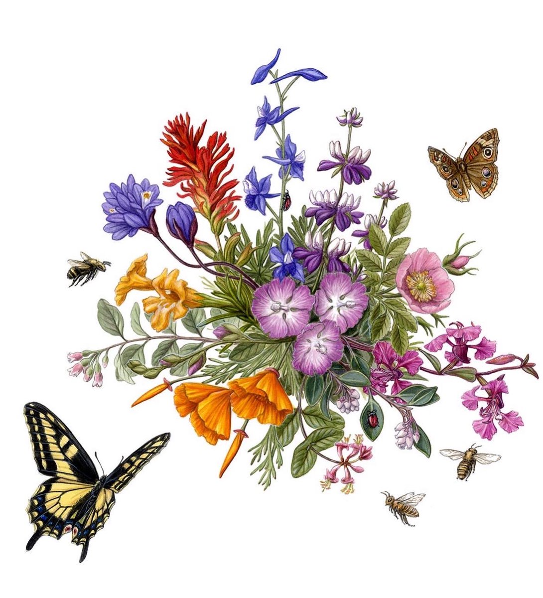 Erin's original paintings and unframed prints are on display and for sale in the Library now through April 30. sfbg.org/hunter