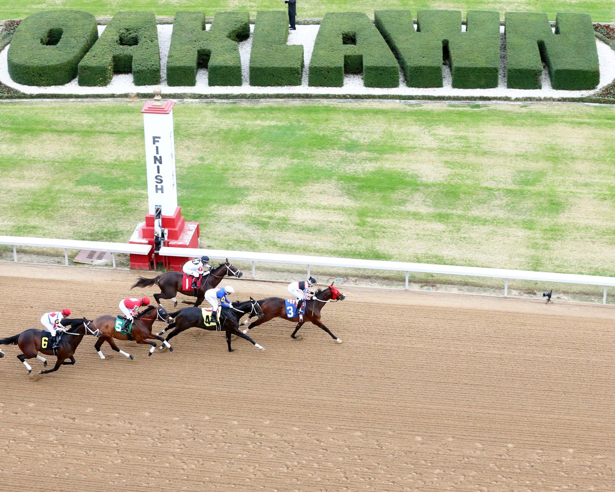Oaklawn has adjusted First Post to accommodate the weather and TV coverage on FS2. First Post is now 12:50 pm CST. #Oaklawn #OaklawnRacingCasinoResort #RoomForMore #StayPlayAndGetAway #OaklawnRacing