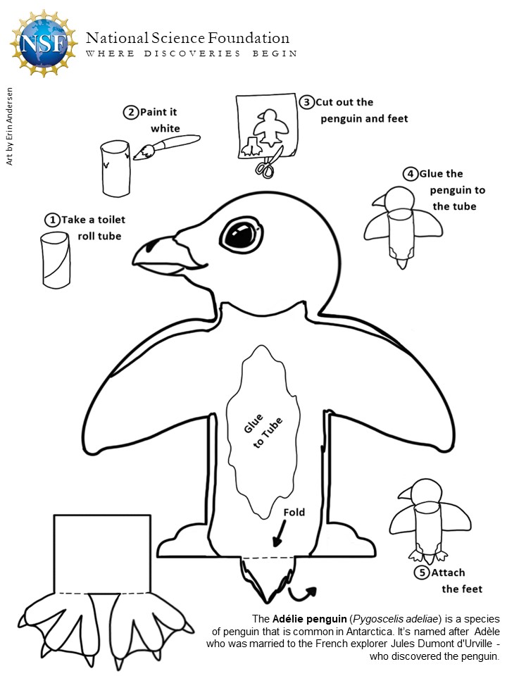 NSF's tweet photo. Toiler paper rolls + bored kids? We got you! 

Bring the cold inside with some DIY #penguin 🐧 friends.  All you need is a toilet paper roll, some markers, glue, and scissors! https://t.co/OAAeu1iB4u 

#snowday #kidscrafts https://t.co/xHE7B6rQ8g