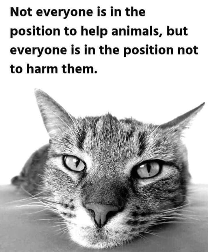 Celia Hammond (@celiahammond) on Twitter photo 