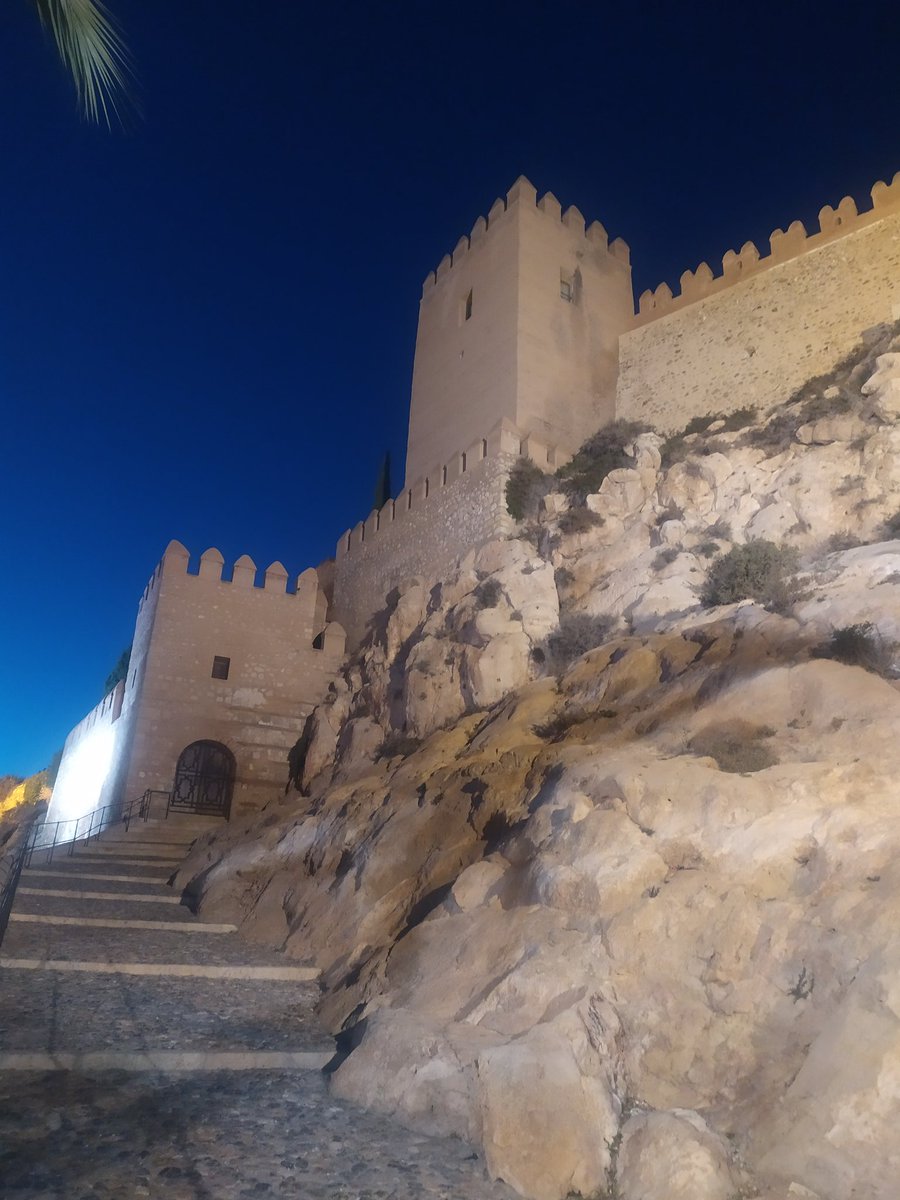 Bardo_Molineta's tweet photo. Jayrán al Amiri, 1er Rey de Almería entre 1014-1028. Su vida da para una película de Hollywood. Un eslavo que es vendido como esclavo que se gana la confianza del General Almanzor y se hace capitán de su caballería, tras la caída del Califato vuelve y es proclamado rey de Almería https://t.co/of5zeVjVXS