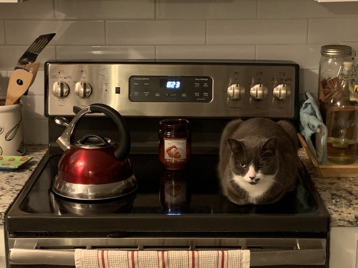 rsfpt's tweet photo. #kittle or #cattle ? or #kattle ? https://t.co/lTyeyaTBLA