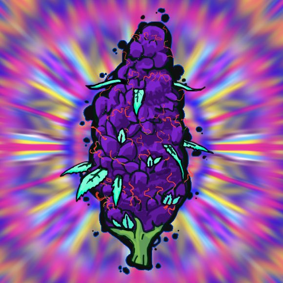 Your_Happy_High's tweet photo. 🔴🔴MEGA GIFTING TIME🔴🔴

During next 24 hours all adress in the comment will recibe an amazing #NFT WEED. ALL!! FUCK SYSTEM!! More comments means more #NFTs.

Rules!!!
💨RT &amp; Follow
🤙comment #eth wallet
🤘Tag #YourHappyHigh https://t.co/4fpqb7dmb5