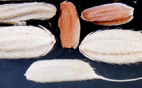 Sabelo ka Lindamkhonto vi tweet media