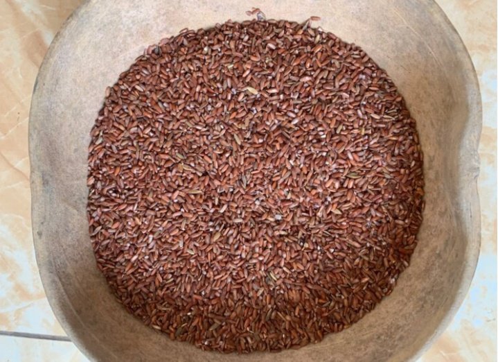 In South Africa we have many varieties of natural grasses that produce rice, in fact the whole of Africa. These grass grows naturally in the bushes and in the river basins, swamps and open woodland. Most South Africans do not know that...