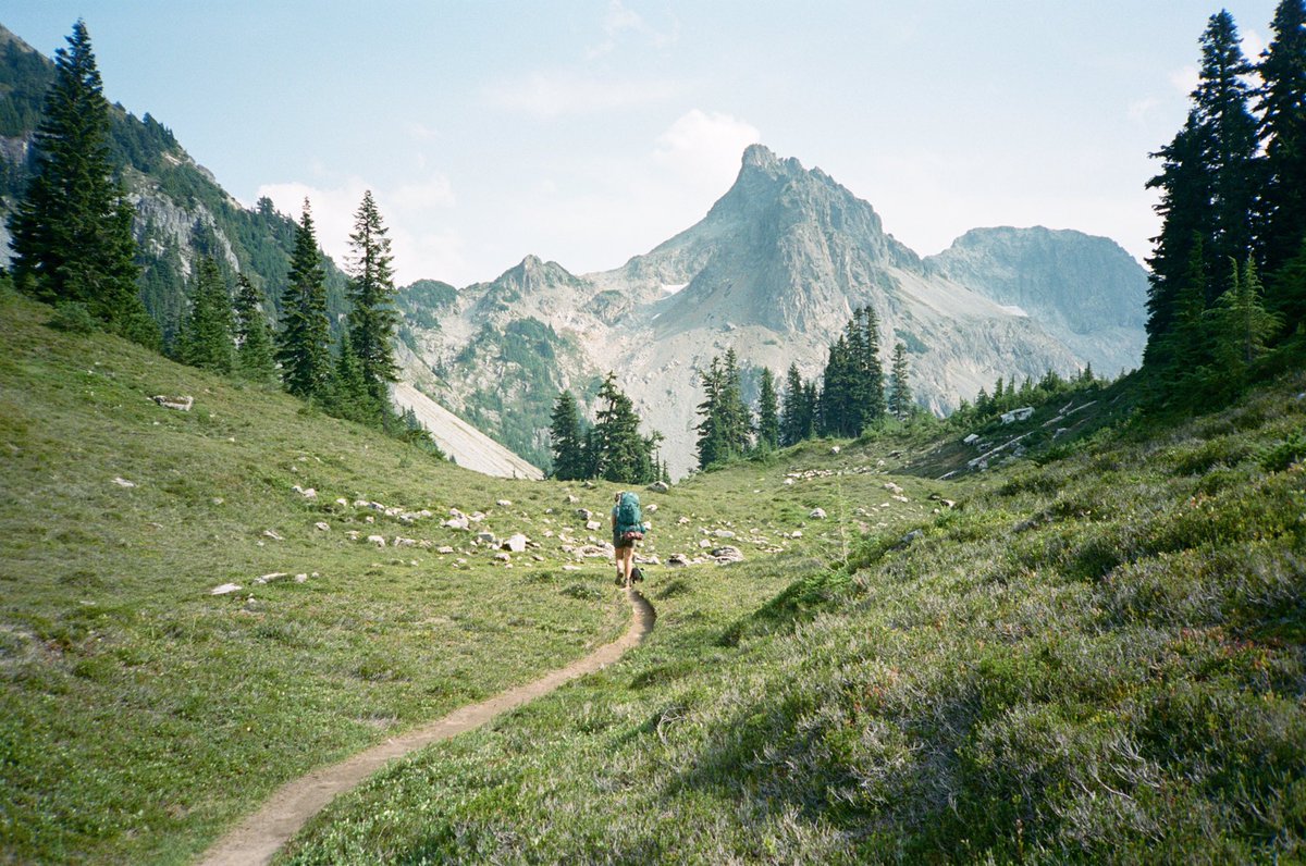 forestoutside's tweet image. The camera        🤝        The shots